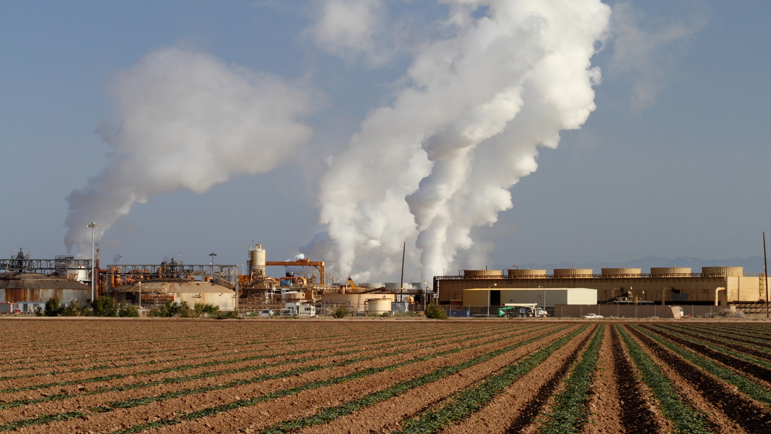 Biomass commercialisation - economic & environmental implications